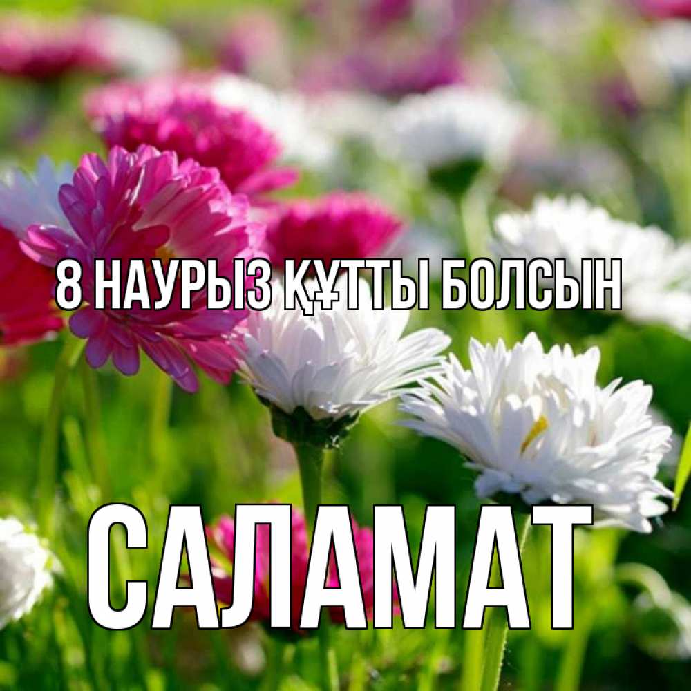 Күн сайын ашық хат с именем, САЛАМАТ 8 наурыз құтты болсын международный женский день 1 Онлайн тегін жүктеп алу тілектері бар керемет карта 