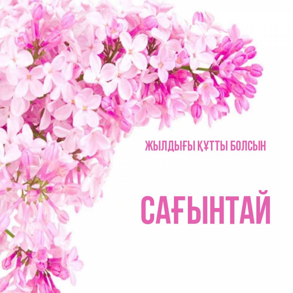 Күн сайын ашық хат с именем, Сағынтай Жылдығы құтты болсын Сирень на белом фоне Онлайн тегін жүктеп алу тілектері бар керемет карта 