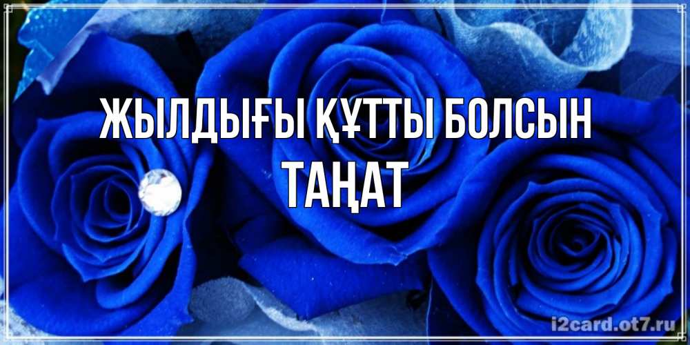 Күн сайын ашық хат с именем, ТАҢАТ Жылдығы құтты болсын синие розы в росе Онлайн тегін жүктеп алу тілектері бар керемет карта 