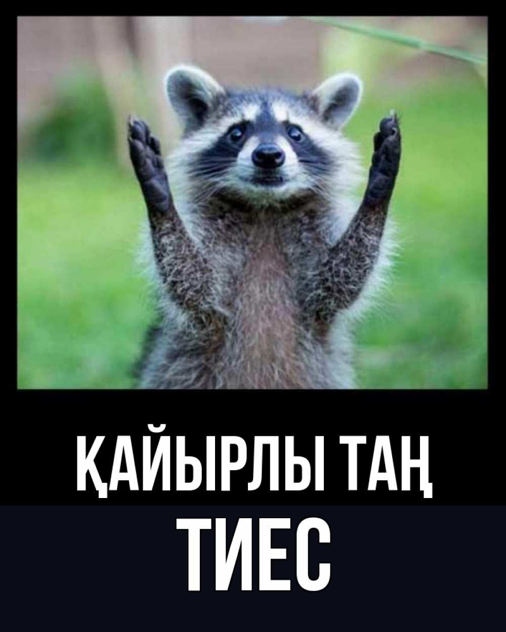 Күн сайын ашық хат с именем, ТИЕС Қайырлы таң хорошее настроение утречком Онлайн тегін жүктеп алу тілектері бар керемет карта 