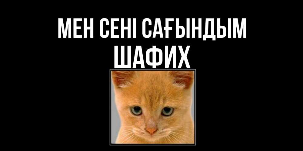 Күн сайын ашық хат с именем, ШАФИХ Мен сені сағындым открытки рыжий котенок скучает по тебе Онлайн тегін жүктеп алу тілектері бар керемет карта 