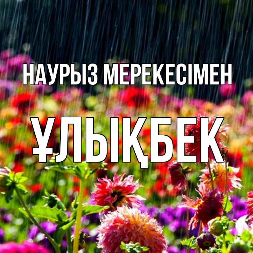 Күн сайын ашық хат с именем, ҰЛЫҚБЕК Наурыз мерекесімен цветы под дождиком к международному женскому дню Онлайн тегін жүктеп алу тілектері бар керемет карта 
