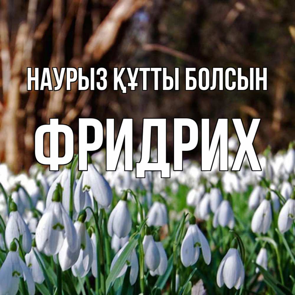 Күн сайын ашық хат с именем, Фридрих Наурыз құтты болсын с подснежниками 1 Онлайн тегін жүктеп алу тілектері бар керемет карта 