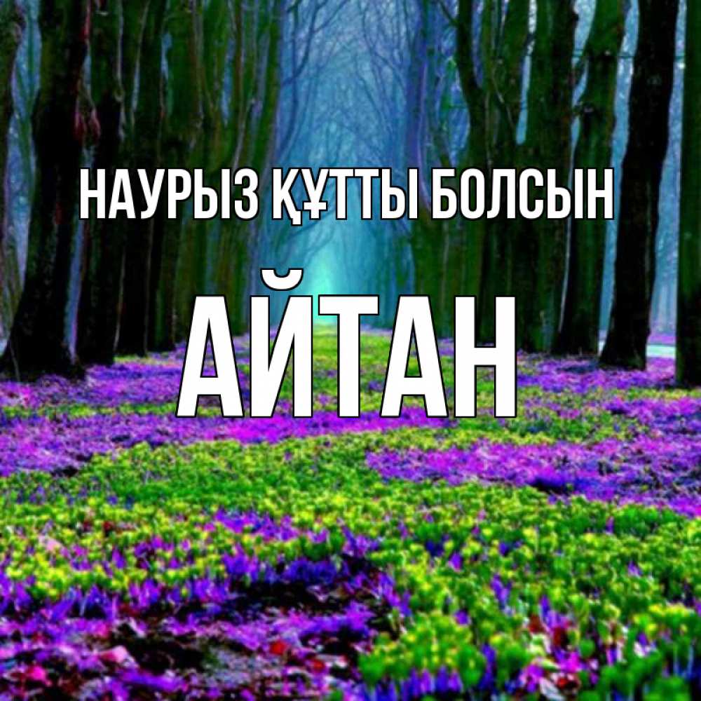 Күн сайын ашық хат с именем, Айтан Наурыз құтты болсын фиолетовые цветы в лесу 1 Онлайн тегін жүктеп алу тілектері бар керемет карта 