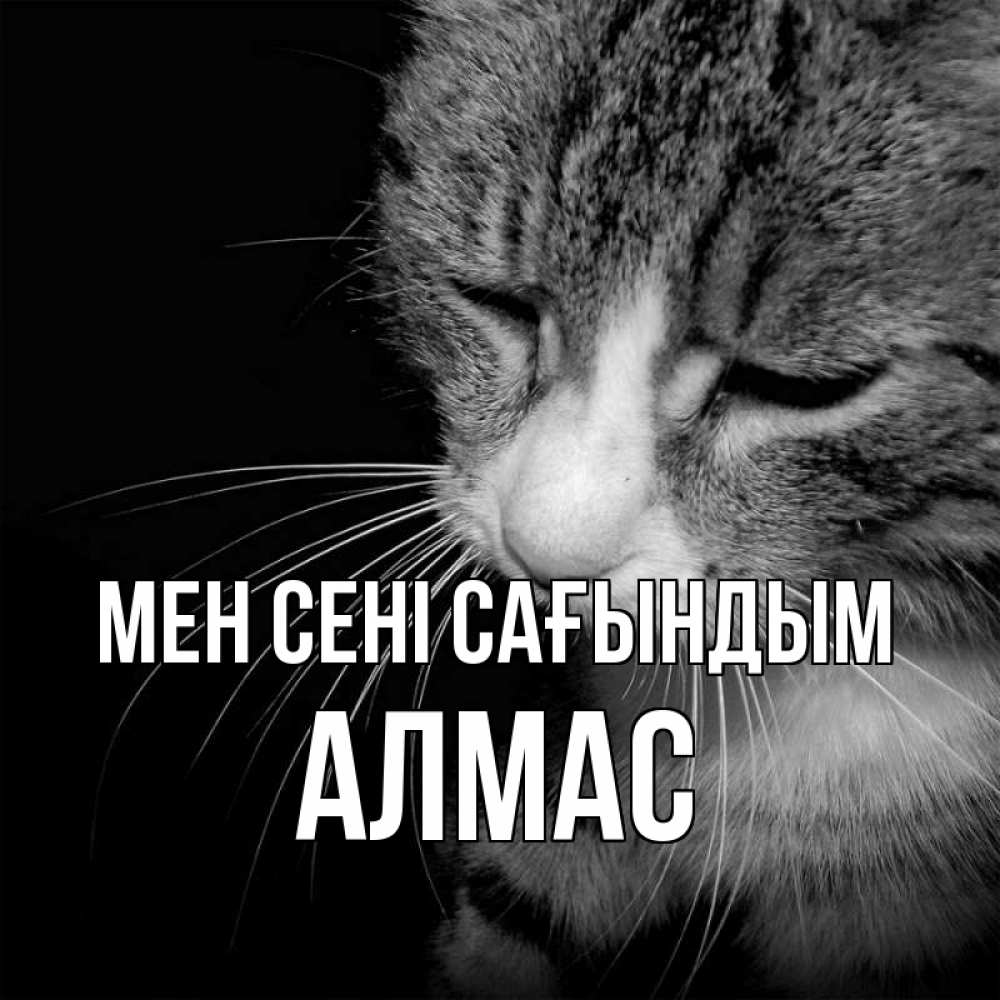 Күн сайын ашық хат с именем, Алмас Мен сені сағындым мне скучно Онлайн тегін жүктеп алу тілектері бар керемет карта 