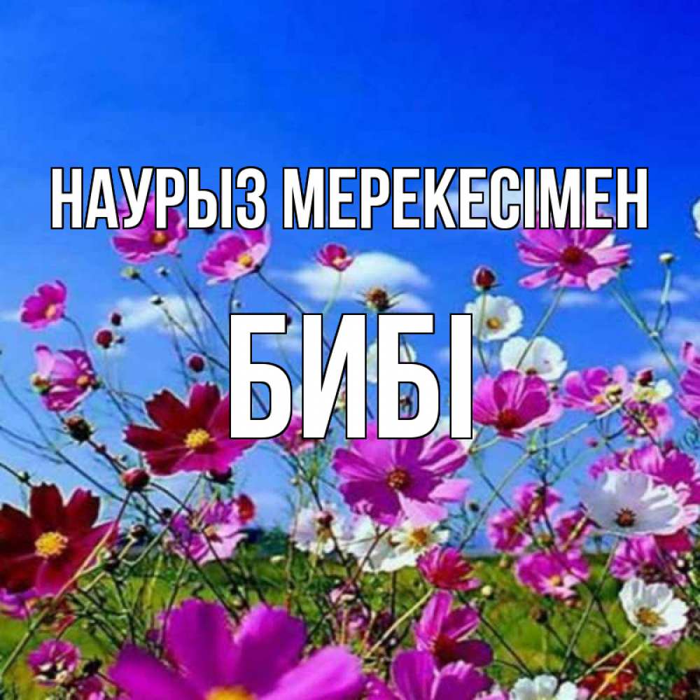 Күн сайын ашық хат с именем, БИБІ Наурыз мерекесімен цветы Онлайн тегін жүктеп алу тілектері бар керемет карта 