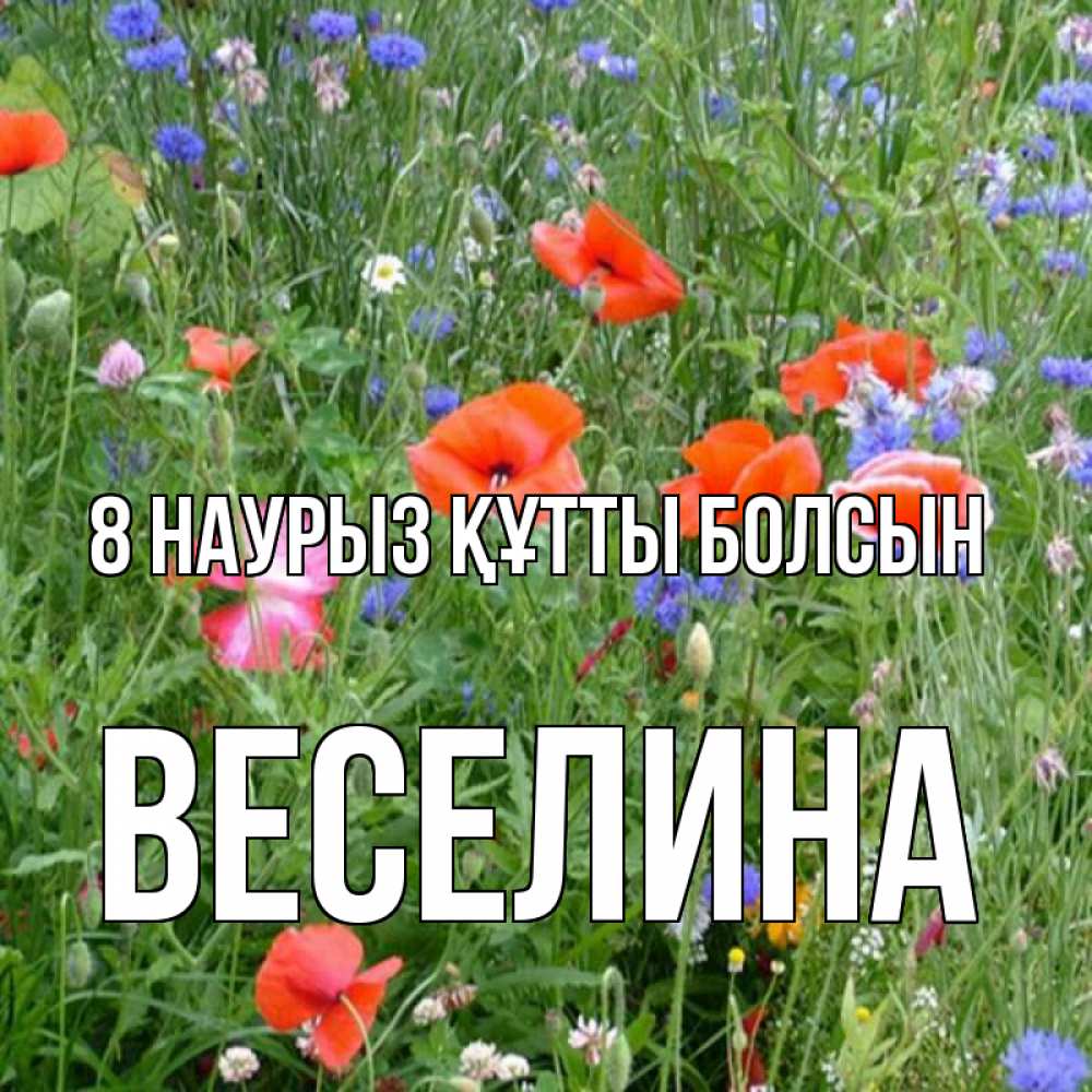 Күн сайын ашық хат с именем, Веселина 8 наурыз құтты болсын международный женский день 4 Онлайн тегін жүктеп алу тілектері бар керемет карта 