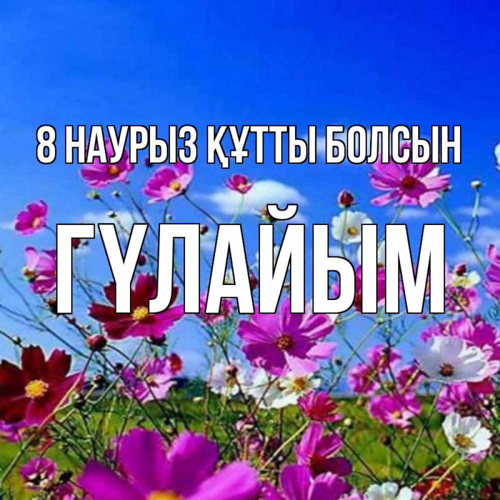 Күн сайын ашық хат с именем, ГҮЛАЙЫМ 8 наурыз құтты болсын цветы Онлайн тегін жүктеп алу тілектері бар керемет карта 