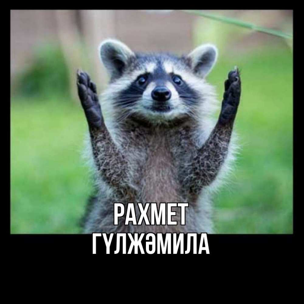 Күн сайын ашық хат с именем, ГҮЛЖӘМИЛА рахмет милые животные Онлайн тегін жүктеп алу тілектері бар керемет карта 