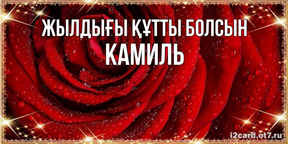 Күн сайын ашық хат с именем, Камиль Жылдығы құтты болсын роса на розе блестящая в лучах солнца Онлайн тегін жүктеп алу тілектері бар керемет карта 