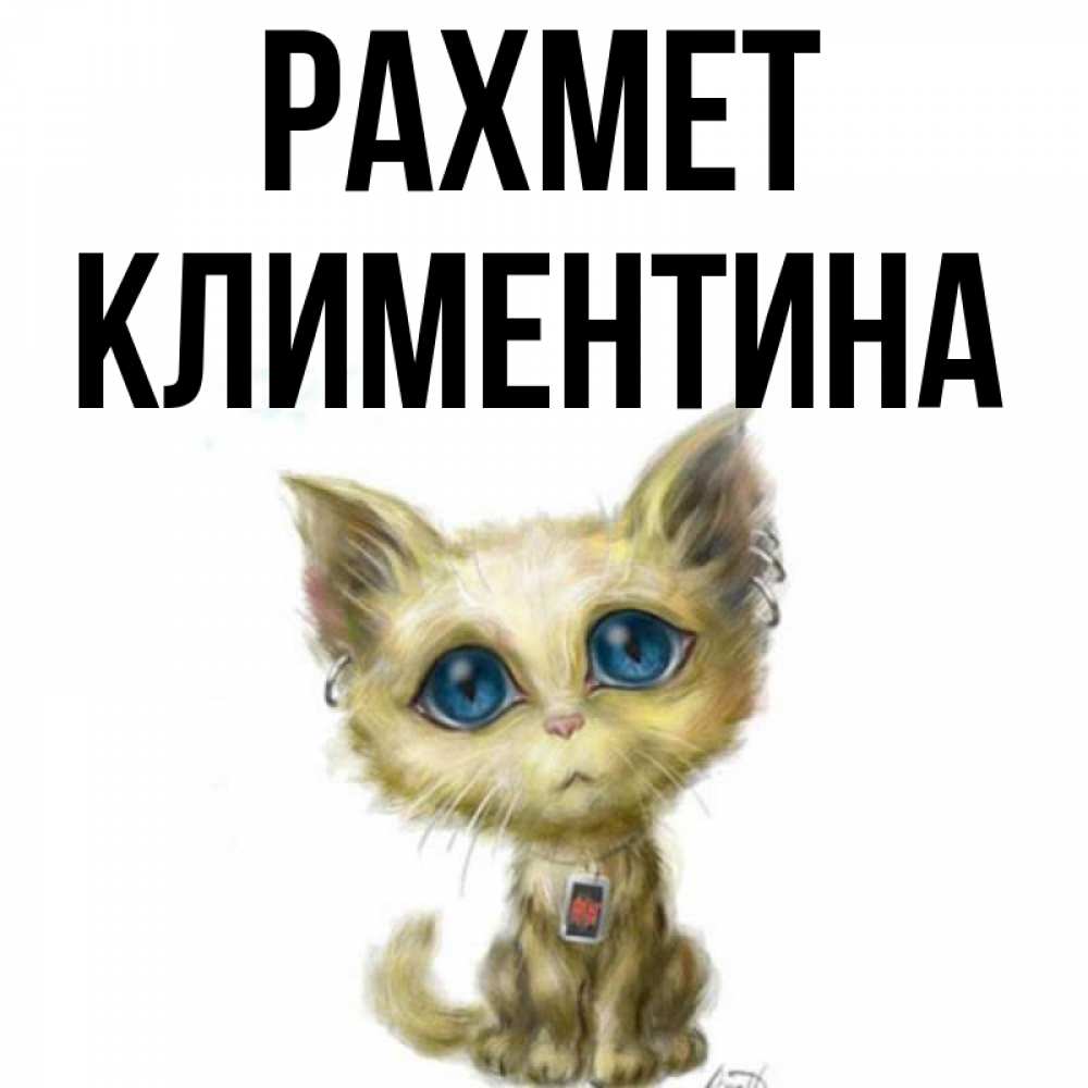 Күн сайын ашық хат с именем, Климентина рахмет рисованный кот благодарит вас Онлайн тегін жүктеп алу тілектері бар керемет карта 