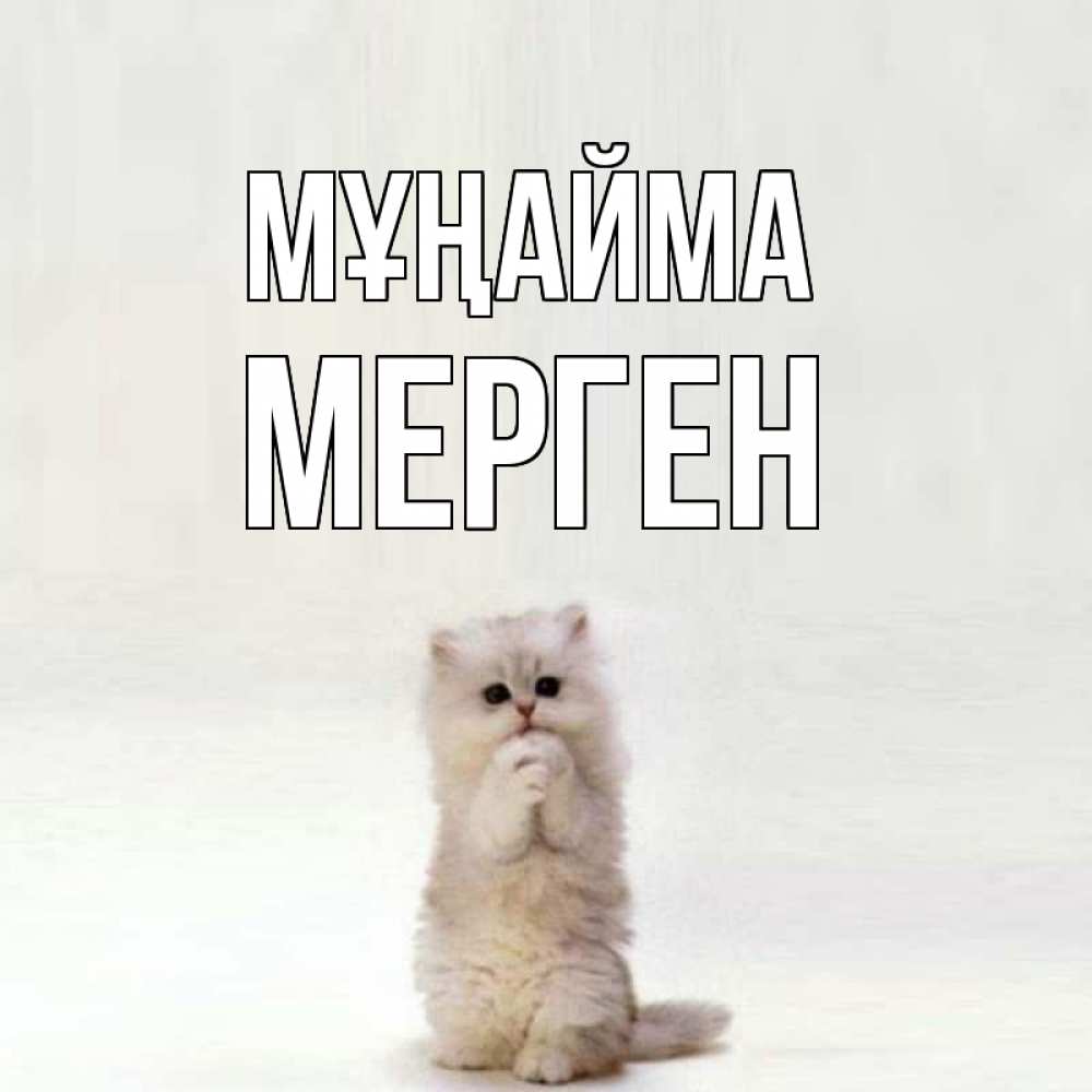 Күн сайын ашық хат с именем, МЕРГЕН Мұңайма грустный кот Онлайн тегін жүктеп алу тілектері бар керемет карта 