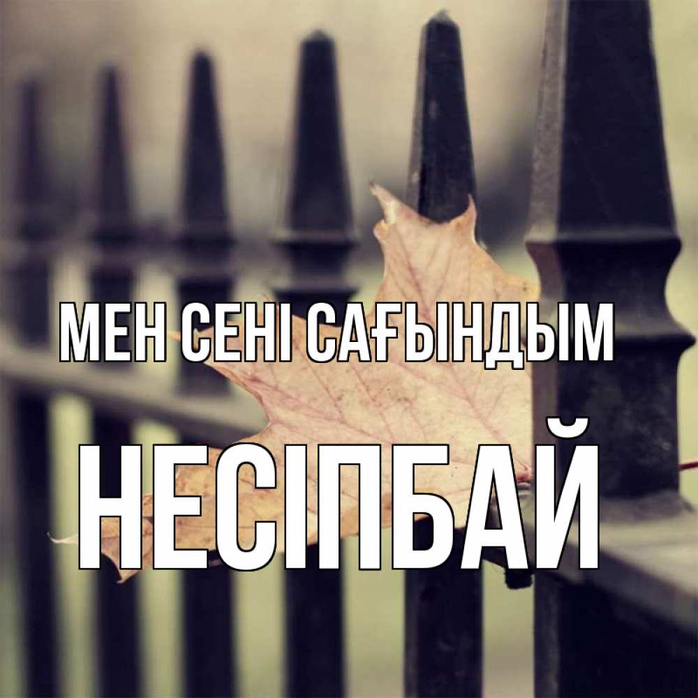 Күн сайын ашық хат с именем, НЕСІПБАЙ Мен сені сағындым очень скучно Онлайн тегін жүктеп алу тілектері бар керемет карта 