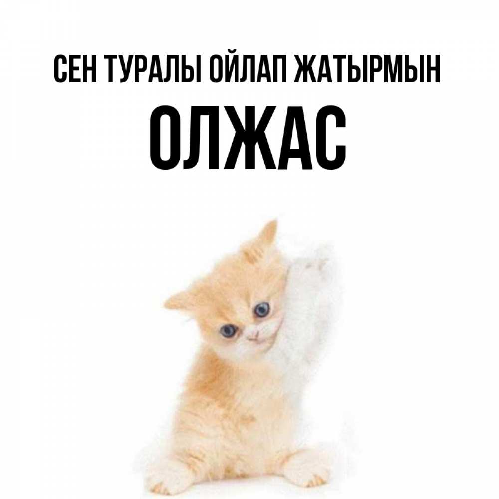 Күн сайын ашық хат с именем, ОЛЖАС Сен туралы ойлап жатырмын зверушки и милота Онлайн тегін жүктеп алу тілектері бар керемет карта 