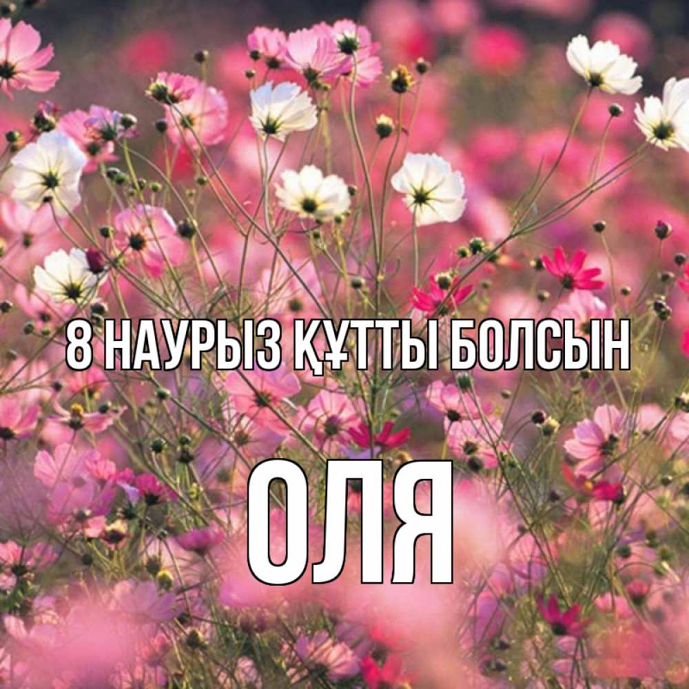 Күн сайын ашық хат с именем, Оля 8 наурыз құтты болсын красиво 1 Онлайн тегін жүктеп алу тілектері бар керемет карта 