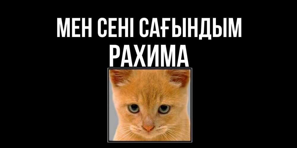 Күн сайын ашық хат с именем, РАХИМА Мен сені сағындым открытки рыжий котенок скучает по тебе Онлайн тегін жүктеп алу тілектері бар керемет карта 