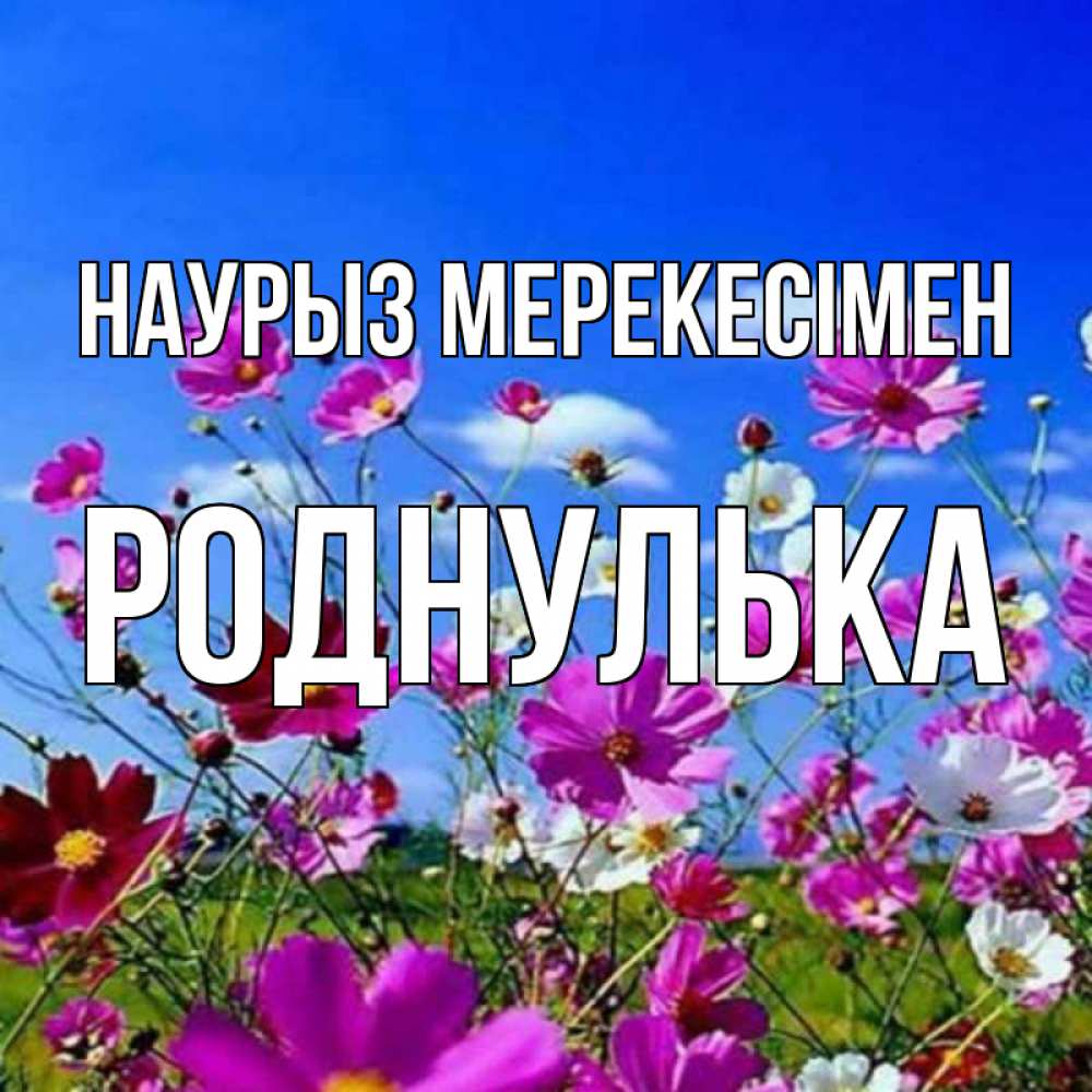 Күн сайын ашық хат с именем, Роднулька Наурыз мерекесімен цветы Онлайн тегін жүктеп алу тілектері бар керемет карта 
