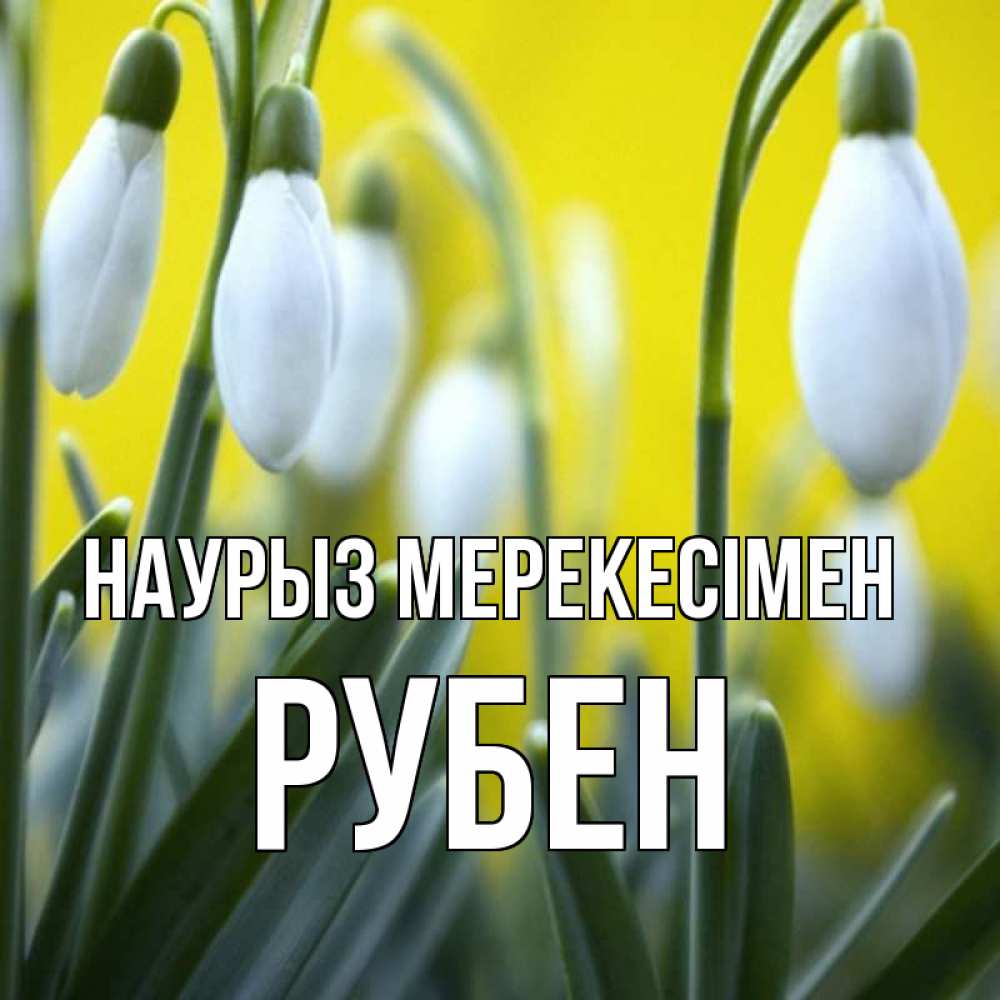Күн сайын ашық хат с именем, Рубен Наурыз мерекесімен весенние цветы Онлайн тегін жүктеп алу тілектері бар керемет карта 