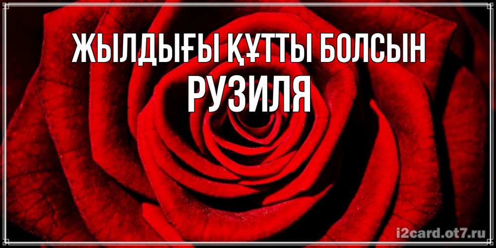 Күн сайын ашық хат с именем, Рузиля Жылдығы құтты болсын алая роза Онлайн тегін жүктеп алу тілектері бар керемет карта 