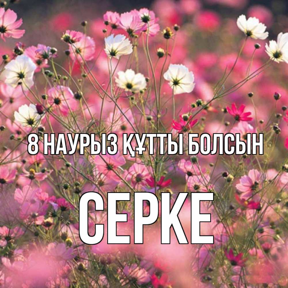Күн сайын ашық хат с именем, СЕРКЕ 8 наурыз құтты болсын красиво 1 Онлайн тегін жүктеп алу тілектері бар керемет карта 