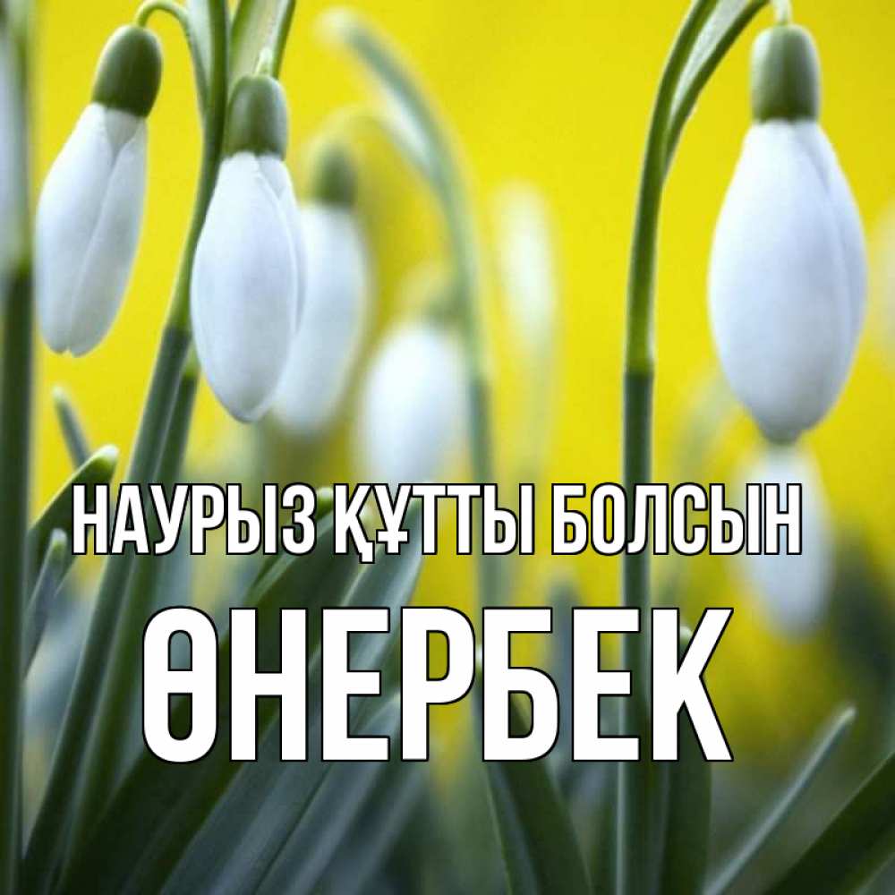 Күн сайын ашық хат с именем, ӨНЕРБЕК Наурыз құтты болсын весенние цветы Онлайн тегін жүктеп алу тілектері бар керемет карта 