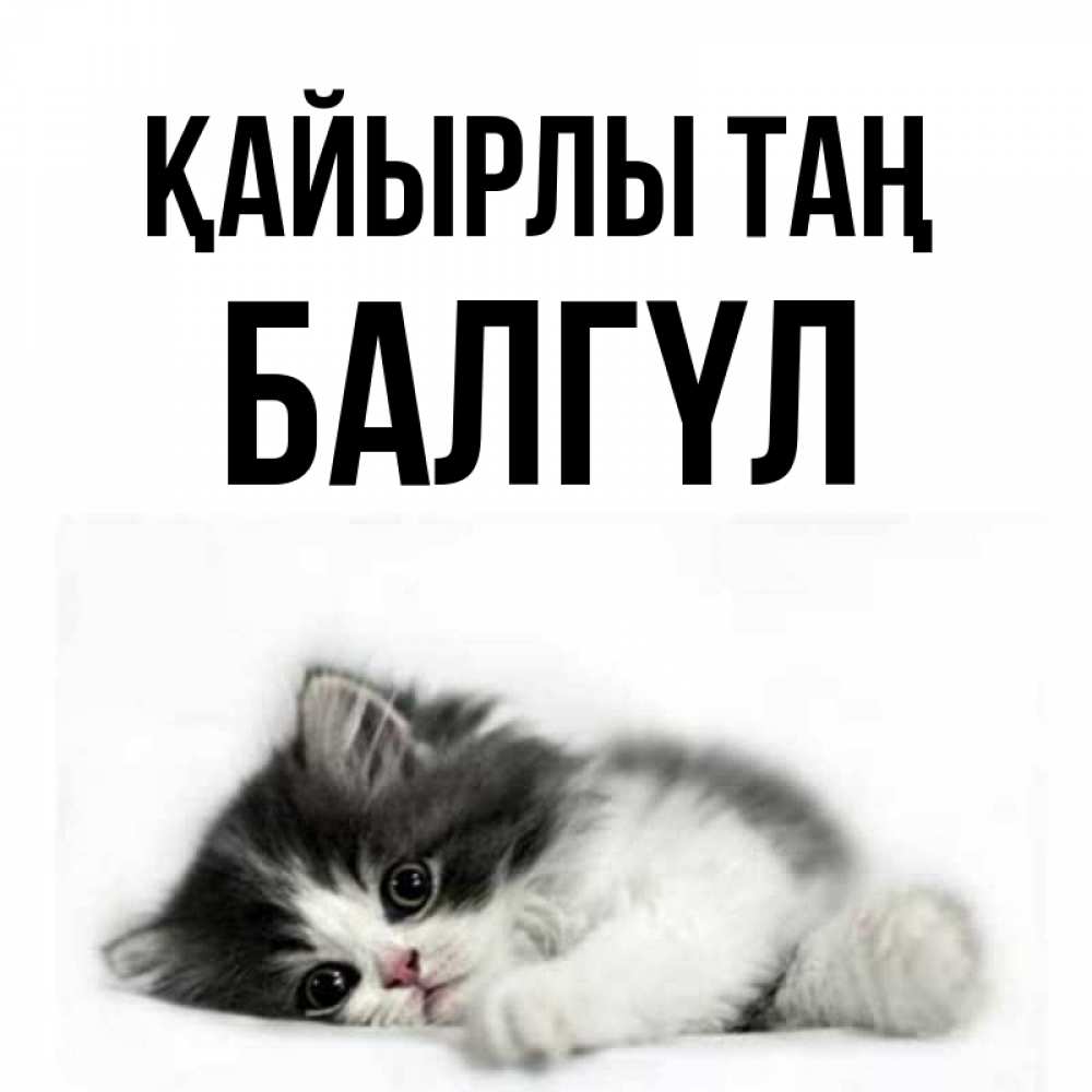 Күн сайын ашық хат с именем, БАЛГҮЛ Қайырлы таң кот лапки Онлайн тегін жүктеп алу тілектері бар керемет карта 