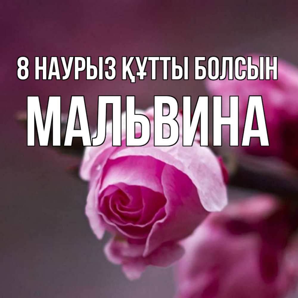 Күн сайын ашық хат с именем, Мальвина 8 наурыз құтты болсын весна Онлайн тегін жүктеп алу тілектері бар керемет карта 