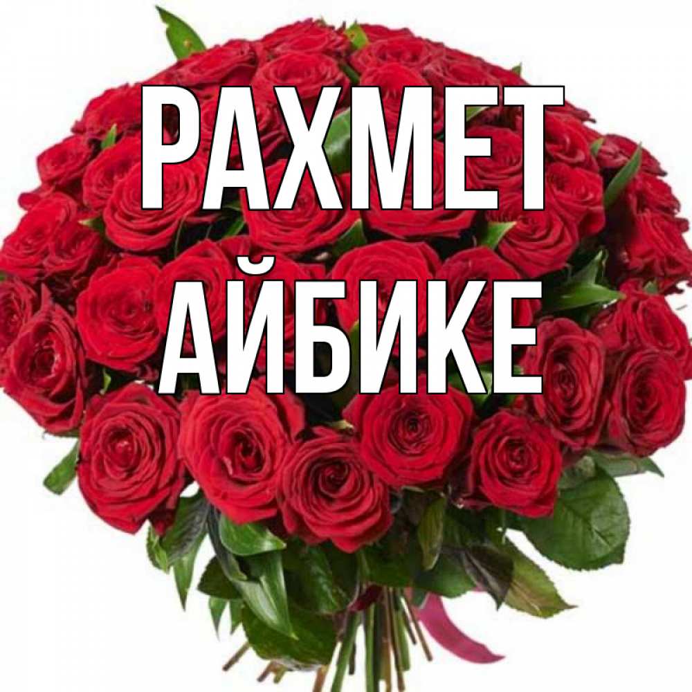 Күн сайын ашық хат с именем, АЙБИКЕ рахмет букет красных роз Онлайн тегін жүктеп алу тілектері бар керемет карта 
