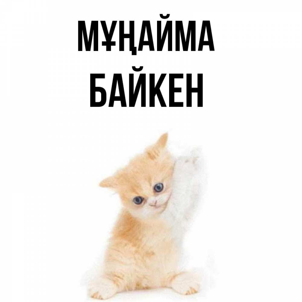 Күн сайын ашық хат с именем, Байкен Мұңайма просящий кот Онлайн тегін жүктеп алу тілектері бар керемет карта 