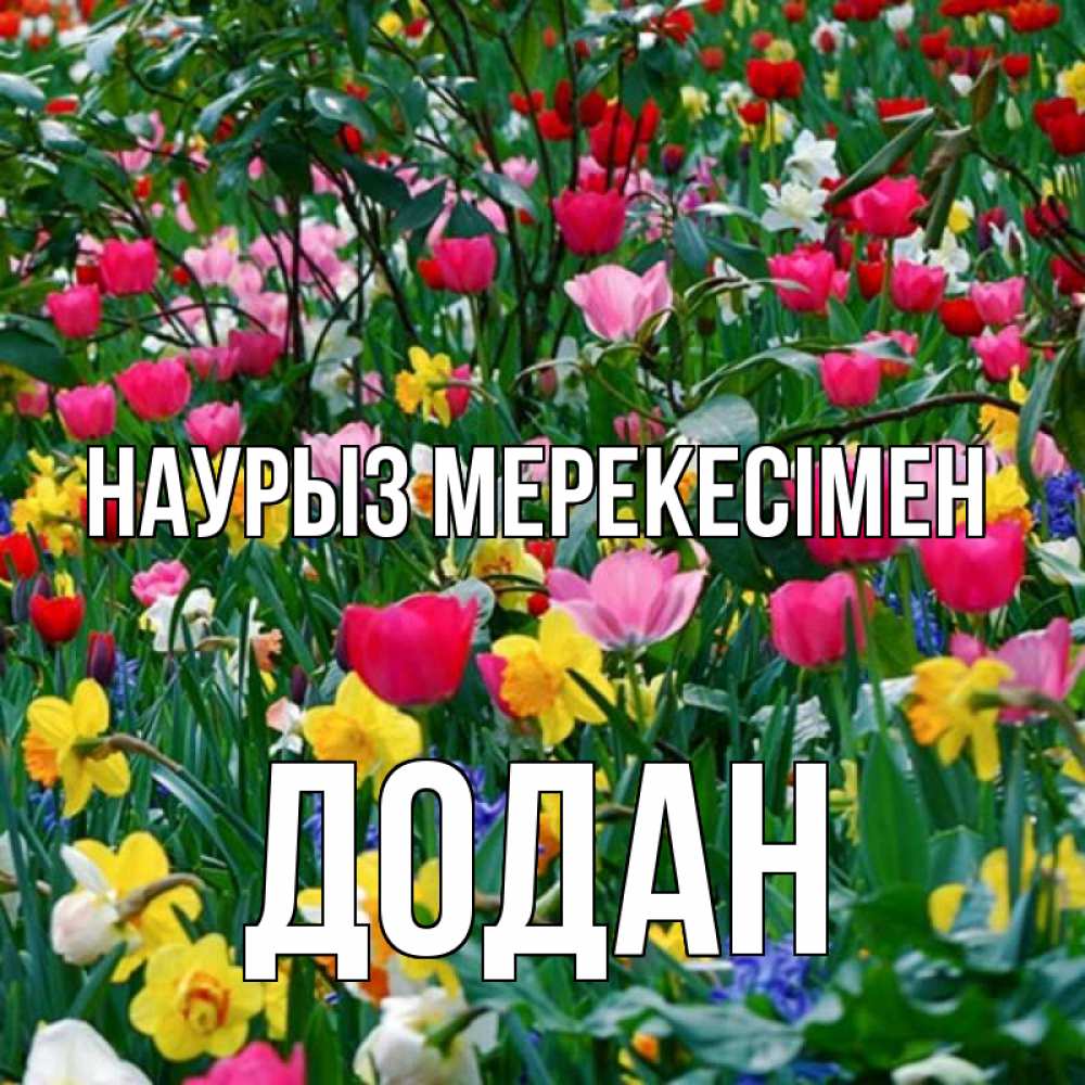 Күн сайын ашық хат с именем, Додан Наурыз мерекесімен с наурызом праздником весны поздравления для женщины Онлайн тегін жүктеп алу тілектері бар керемет карта 