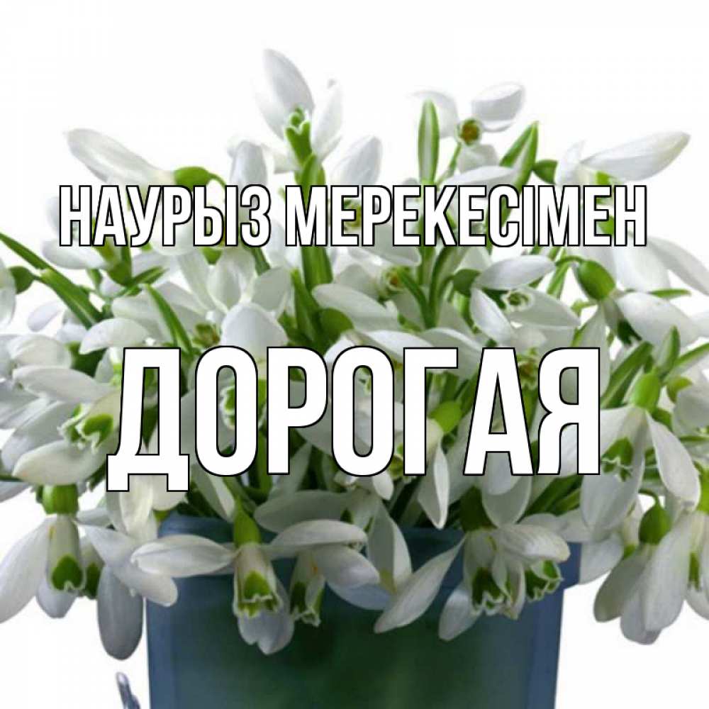 Күн сайын ашық хат с именем, Дорогая Наурыз мерекесімен цветы к наурызу новый год в Казахстане Онлайн тегін жүктеп алу тілектері бар керемет карта 