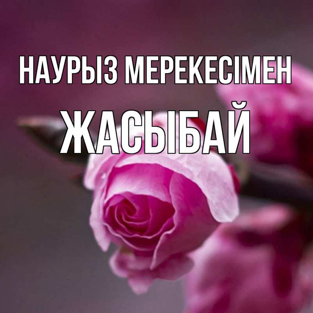 Күн сайын ашық хат с именем, Жасыбай Наурыз мерекесімен весна Онлайн тегін жүктеп алу тілектері бар керемет карта 