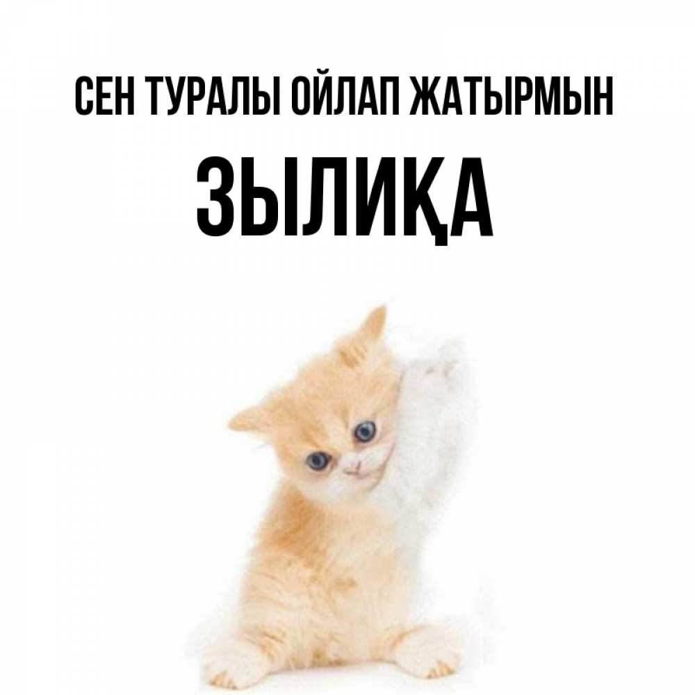 Күн сайын ашық хат с именем, ЗЫЛИҚА Сен туралы ойлап жатырмын зверушки и милота Онлайн тегін жүктеп алу тілектері бар керемет карта 
