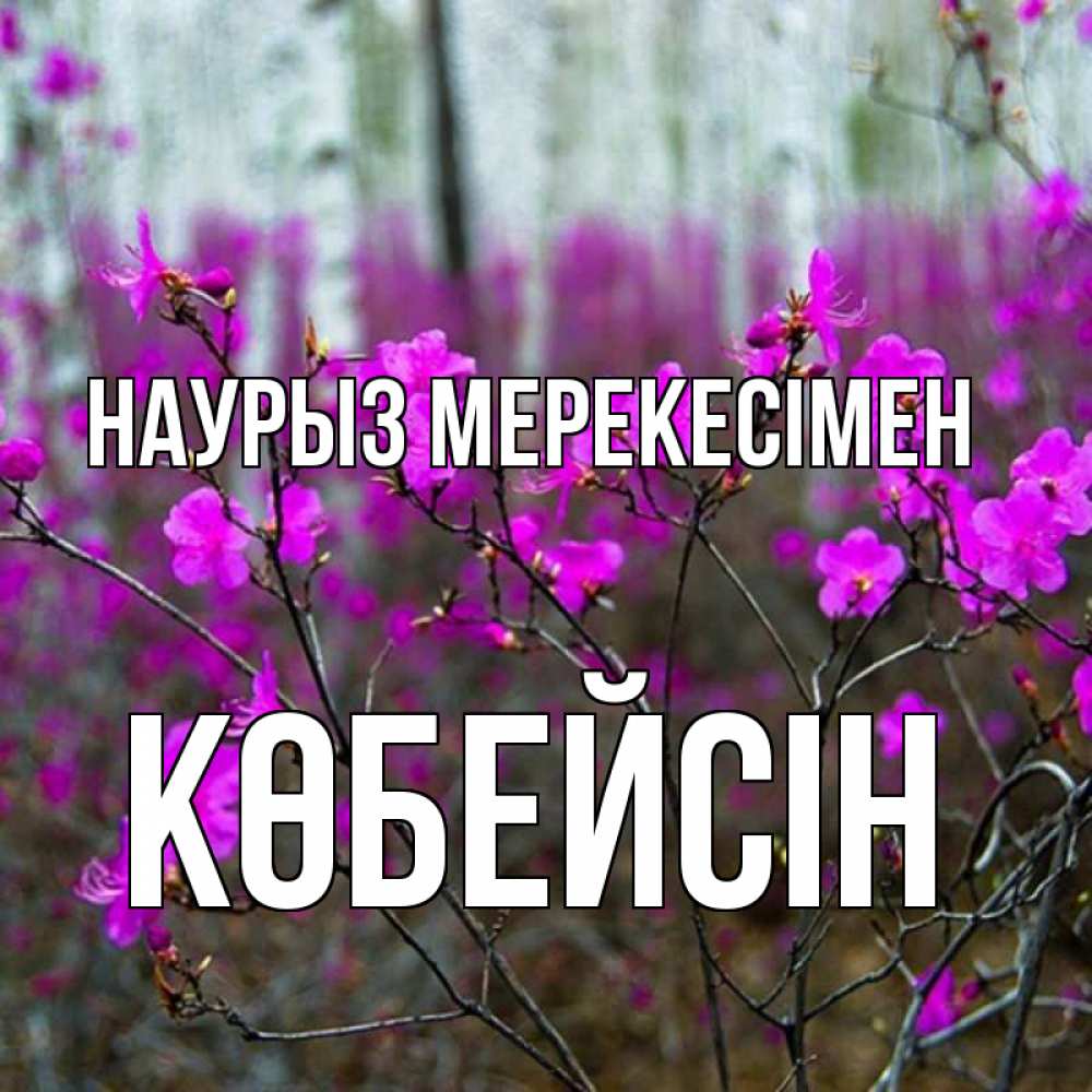 Күн сайын ашық хат с именем, Көбейсін Наурыз мерекесімен дикие цветы Онлайн тегін жүктеп алу тілектері бар керемет карта 