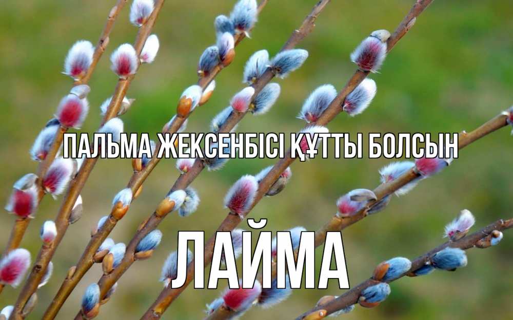 Күн сайын ашық хат с именем, Лайма Пальма жексенбісі құтты болсын верба Онлайн тегін жүктеп алу тілектері бар керемет карта 