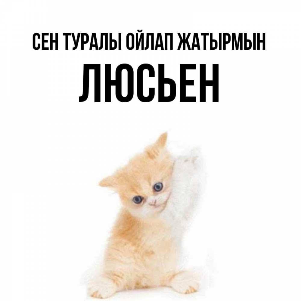 Күн сайын ашық хат с именем, Люсьен Сен туралы ойлап жатырмын зверушки и милота Онлайн тегін жүктеп алу тілектері бар керемет карта 