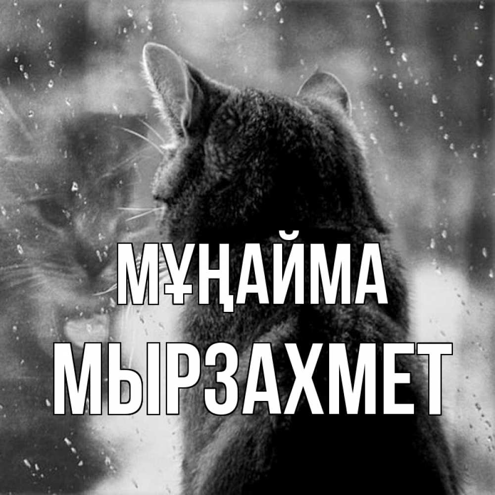Күн сайын ашық хат с именем, МЫРЗАХМЕТ Мұңайма отражение кота 1 Онлайн тегін жүктеп алу тілектері бар керемет карта 