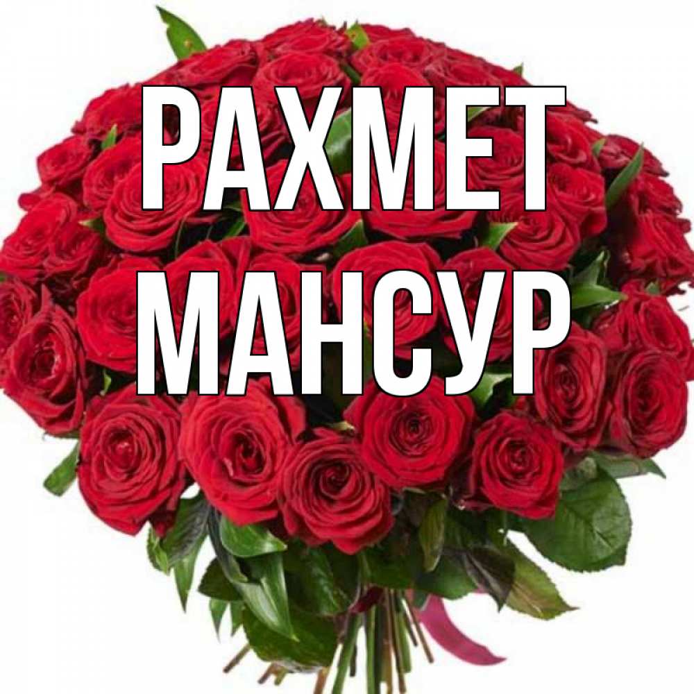 Күн сайын ашық хат с именем, Мансур рахмет букет красных роз Онлайн тегін жүктеп алу тілектері бар керемет карта 