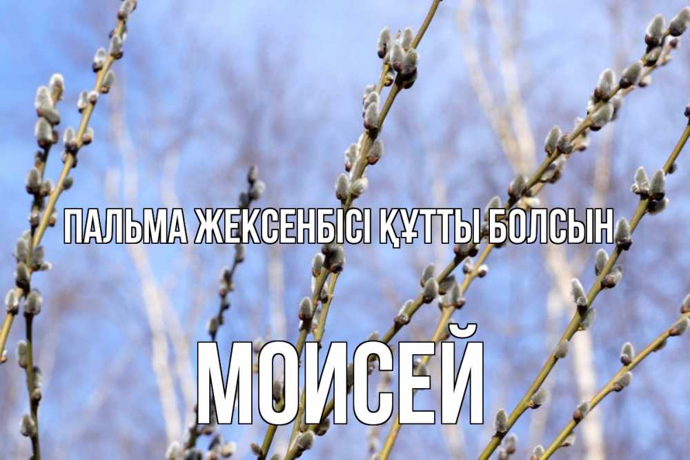 Күн сайын ашық хат с именем, Моисей Пальма жексенбісі құтты болсын верба Онлайн тегін жүктеп алу тілектері бар керемет карта 
