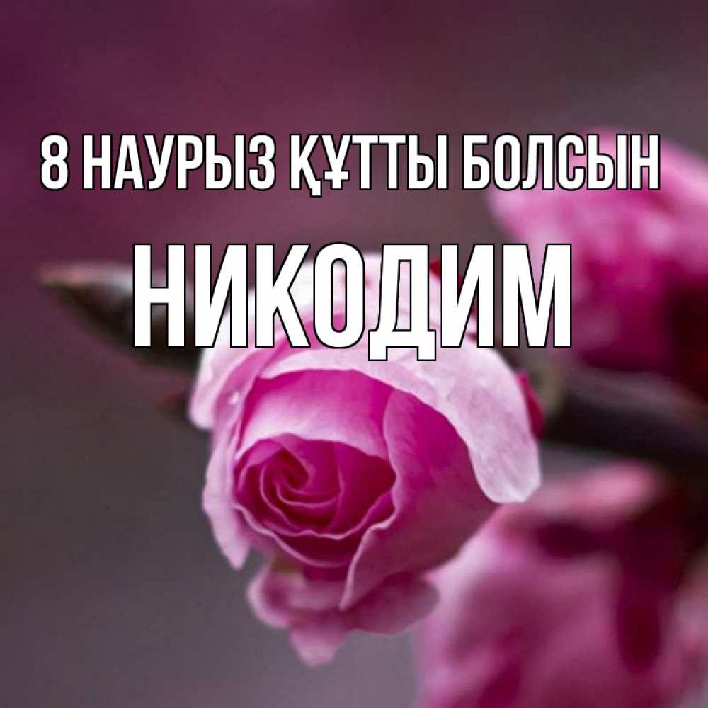 Күн сайын ашық хат с именем, Никодим 8 наурыз құтты болсын весна Онлайн тегін жүктеп алу тілектері бар керемет карта 