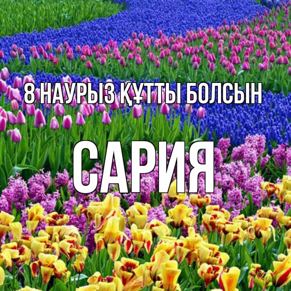 Күн сайын ашық хат с именем, САРИЯ 8 наурыз құтты болсын цветы Онлайн тегін жүктеп алу тілектері бар керемет карта 