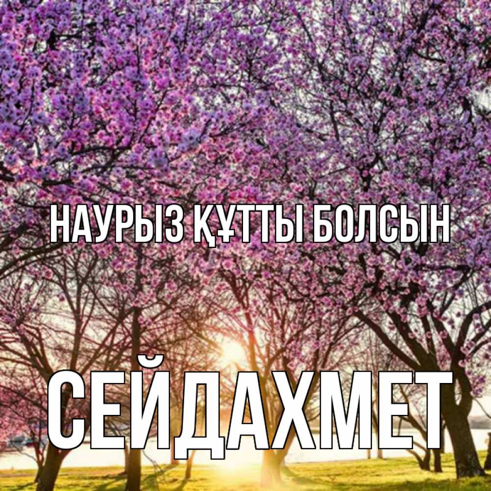 Күн сайын ашық хат с именем, СЕЙДАХМЕТ Наурыз құтты болсын наурыз Онлайн тегін жүктеп алу тілектері бар керемет карта 