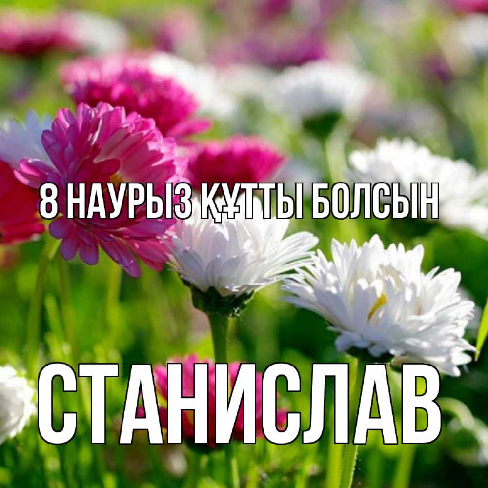 Күн сайын ашық хат с именем, Станислав 8 наурыз құтты болсын международный женский день 1 Онлайн тегін жүктеп алу тілектері бар керемет карта 