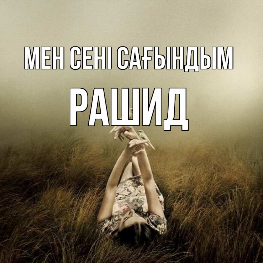 Күн сайын ашық хат с именем, Рашид Мен сені сағындым девушка с голубями Онлайн тегін жүктеп алу тілектері бар керемет карта 