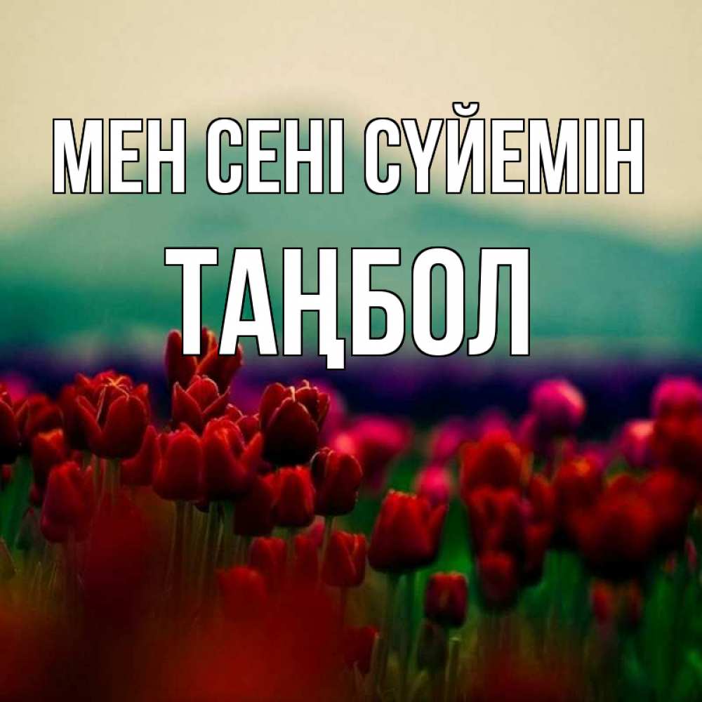 Күн сайын ашық хат с именем, ТАҢБОЛ Мен сені сүйемін тюльпаны 4 Онлайн тегін жүктеп алу тілектері бар керемет карта 