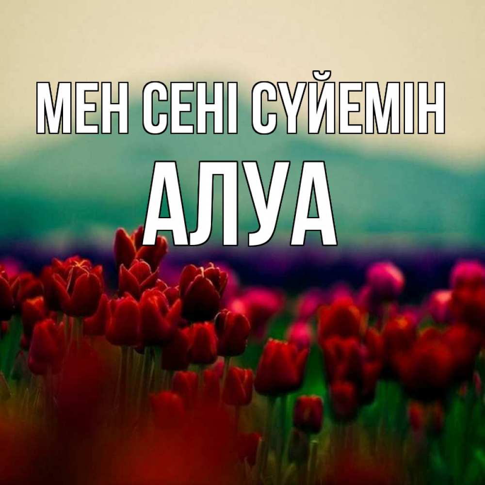 Күн сайын ашық хат с именем, АЛУА Мен сені сүйемін тюльпаны 4 Онлайн тегін жүктеп алу тілектері бар керемет карта 