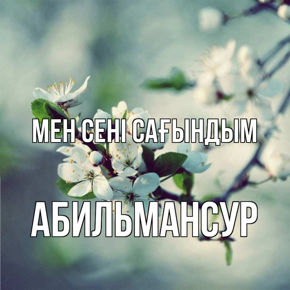 Күн сайын ашық хат с именем, Абильмансур Мен сені сағындым весна Онлайн тегін жүктеп алу тілектері бар керемет карта 