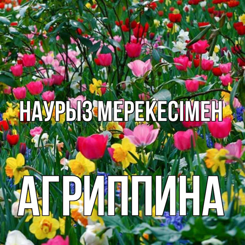 Күн сайын ашық хат с именем, Агриппина Наурыз мерекесімен с наурызом праздником весны поздравления для женщины Онлайн тегін жүктеп алу тілектері бар керемет карта 