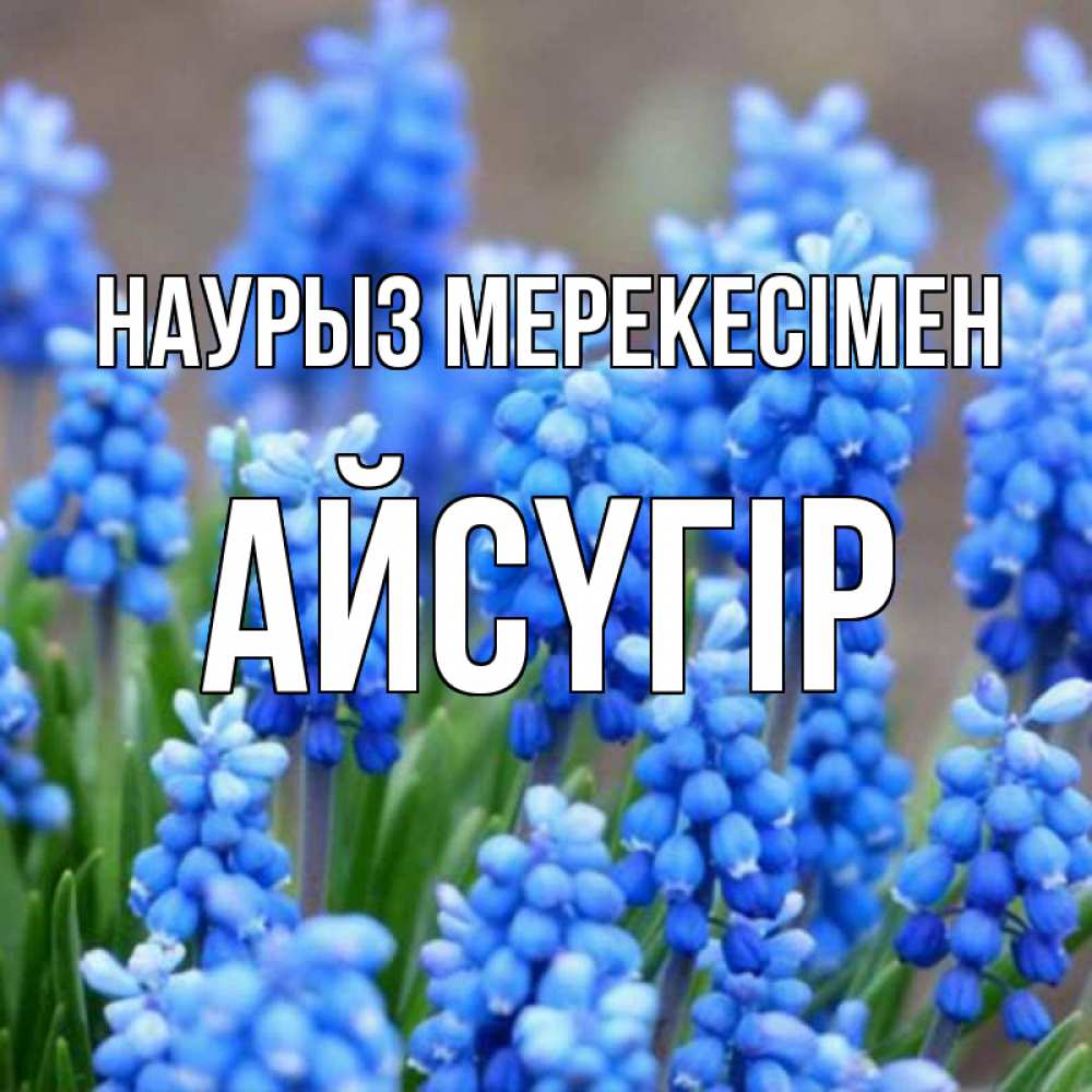 Күн сайын ашық хат с именем, Айсүгір Наурыз мерекесімен Поздравительная открытка для женщин с цветами на праздничную дату Онлайн тегін жүктеп алу тілектері бар керемет карта 