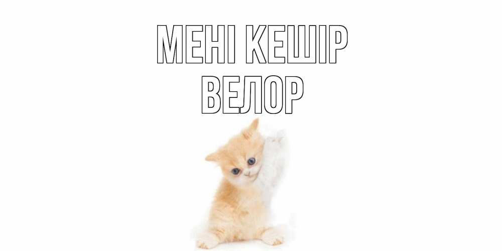 Күн сайын ашық хат с именем, Велор Мені кешір кот Онлайн тегін жүктеп алу тілектері бар керемет карта 